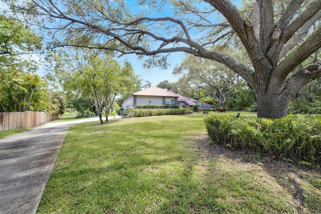 Palm Harbor Estate W/ Pool & Fruit Trees On Acre Vila Exterior foto